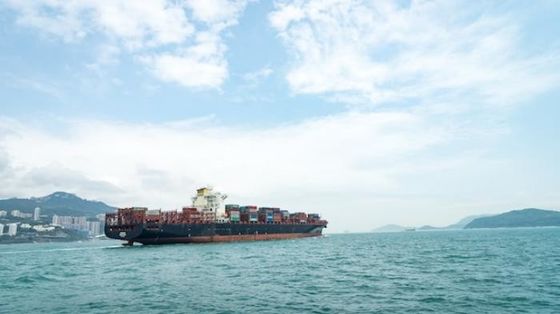 Express DG Shipping Transportation Door To Door Logistic Agent Service
